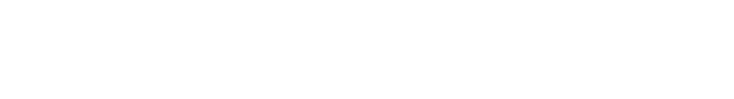 Lever Accounting